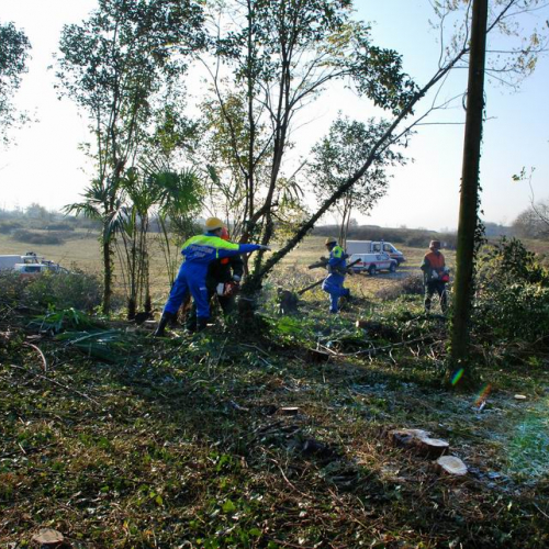 Esercitazione 19/11 n. 31 / 72905