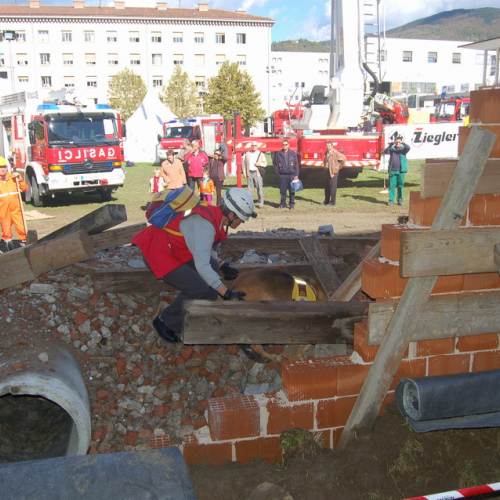 foto 19/10 n. 28 / 18045