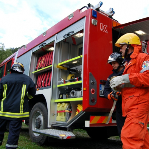 DSC_0223.JPG / 114558