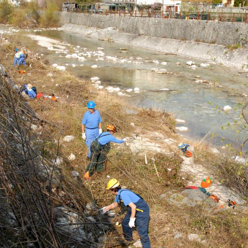 Alvei Puliti 2012 n. 62 / 78263