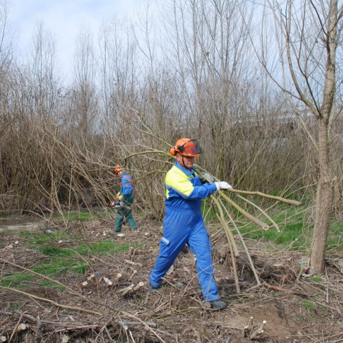 Intervento alveo Torre nelle vicinanze dell'abitato di Salt n. 68 / 78742
