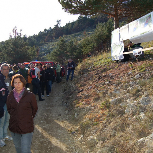 Incontro nell'ambito del Progetto n. 15-2-3-IT ALPF FIRS n. 15 / 87807