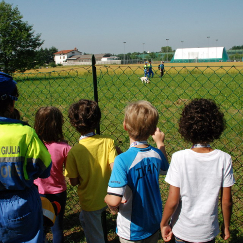 Attivit‡ formazione/divulgazione presso scuola Colugna n. 42 / 109913