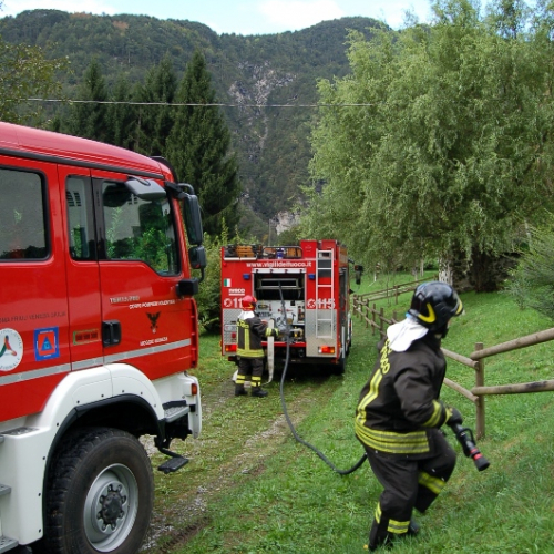 DSC_0226.JPG / 114562