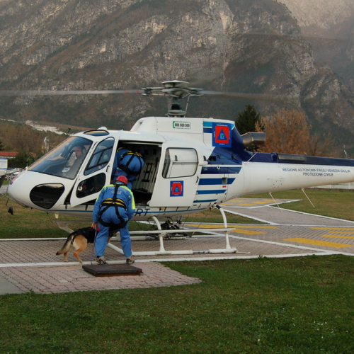 Corso Tolmezzo pomeriggio 09/11n. 8 / 32115