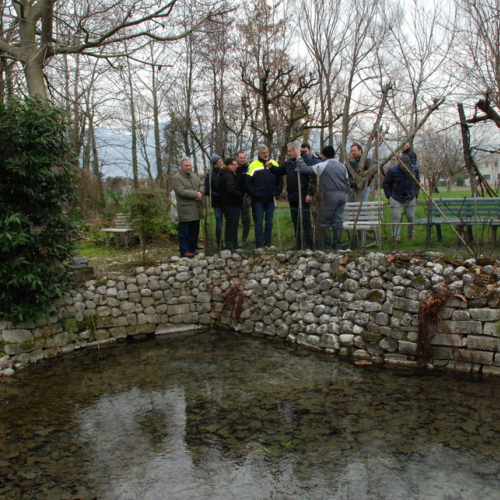 Sopralluogo a Fontanafredda n. 31 / 104111