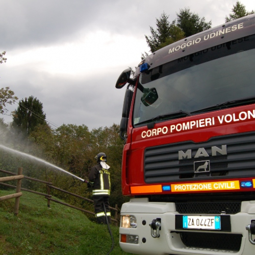 DSC_0229.JPG / 114561