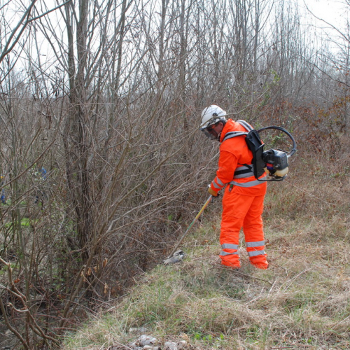 Intervento alveo Torre nelle vicinanze dell'abitato di Salt n. 69 / 78743