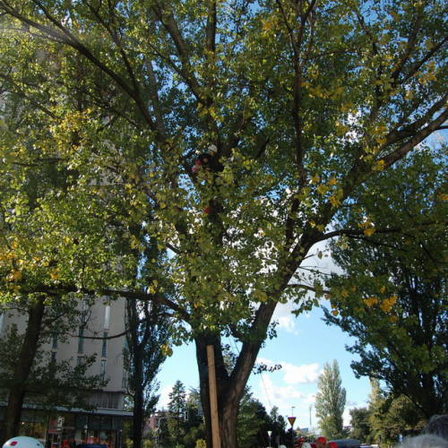 foto 19/10 n. 32 / 18049