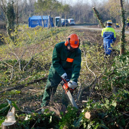 Esercitazione 19/11 n. 33 / 72907