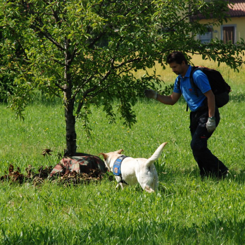 Attivit‡ formazione/divulgazione presso scuola Colugna n. 43 / 109914