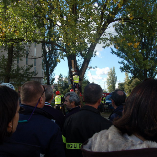 foto 19/10 n. 33 / 18050