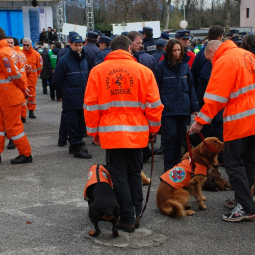 XI^ giornata del volontariato n. 94 / 33498