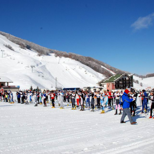 Gara di fondo 23 / 34754