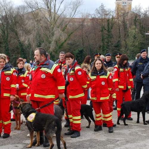 XI^ giornata del volontariato n. 95 / 33499