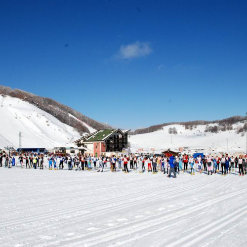 Gara di fondo 24 / 34755