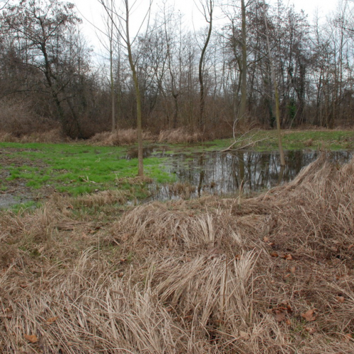 Sopralluogo a Fontanafredda n. 33 / 104113