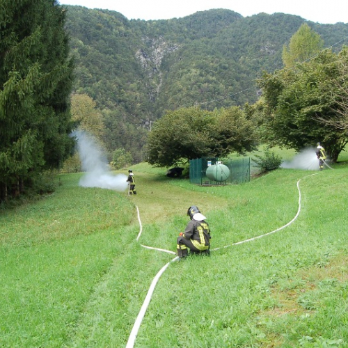 DSC_0239.JPG / 114565