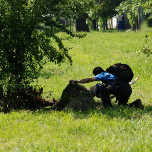 Attivit‡ formazione/divulgazione presso scuola Colugna n. 44 / 109915