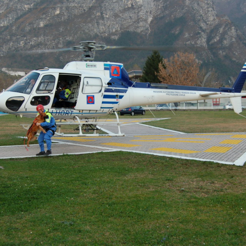 Corso Tolmezzo pomeriggio 09/11n. 18 / 32125