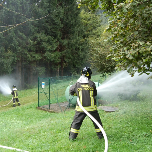 DSC_0246.JPG / 114567