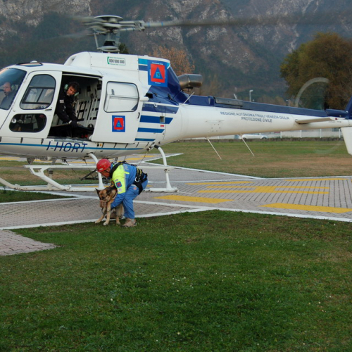 Corso Tolmezzo pomeriggio 09/11n. 20 / 32127