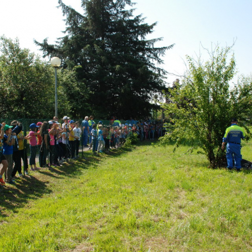 Attivit‡ formazione/divulgazione presso scuola Colugna n. 45 / 109916