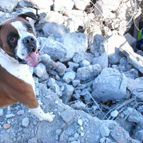 foto esercitazione 43 / 34013