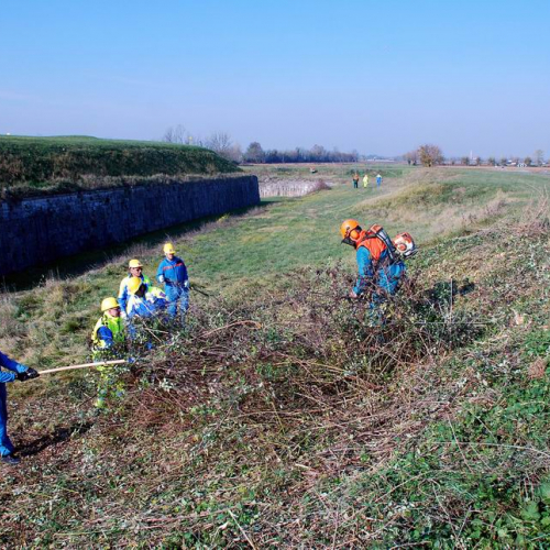 Esercitazione 19/11 n. 38 / 72912