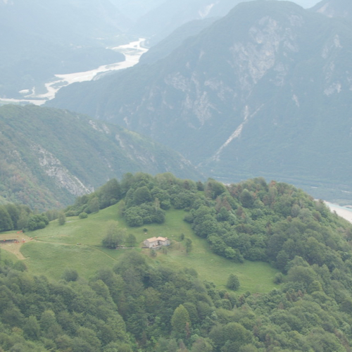 Esercitazione Monte Amariana - Fuoco in Pineit 2012" n. 19""sercitazione "Monte Amariana - Fuoco in Pine""ercitazione "Monte Amariana - ""rcitazione "Monte""citaz" / 82913