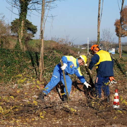 Esercitazione 19/11 n. 39 / 72913