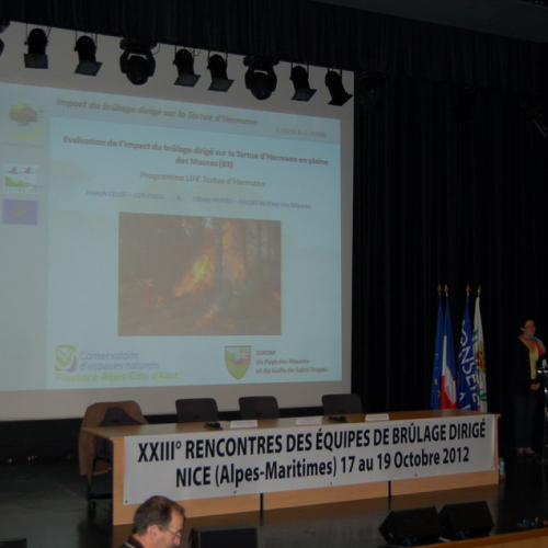 Incontro nell'ambito del Progetto n. 15-2-3-IT ALPF FIRS n. 37 / 87829