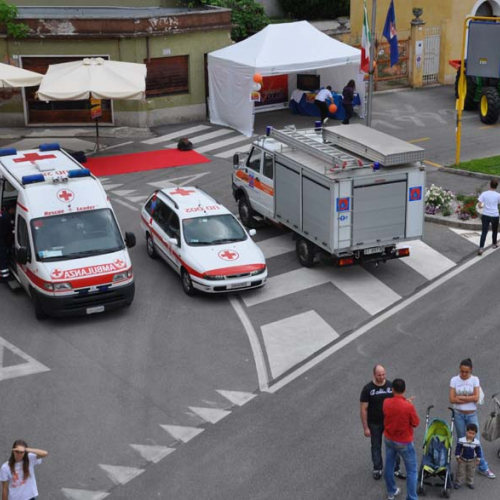 attivit‡ di sensibilizzazione nell'ambito di Pozzuolo Ri-fiorisce" n. 12""ttivit‡ di sensibilizzazion" / 68309