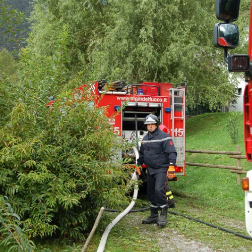 DSC_0262.JPG / 114571