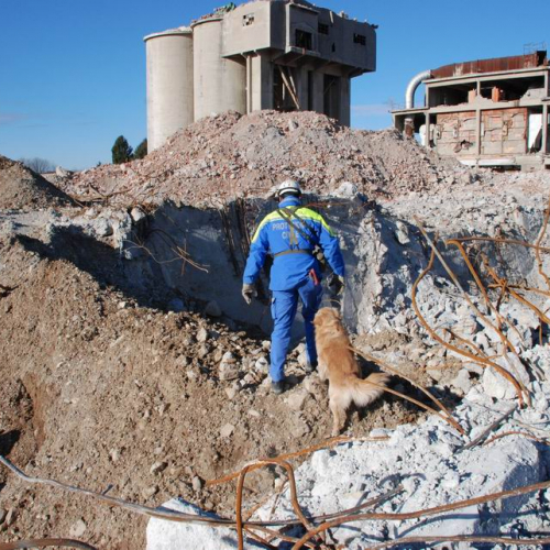 foto esercitazione 44 / 34014