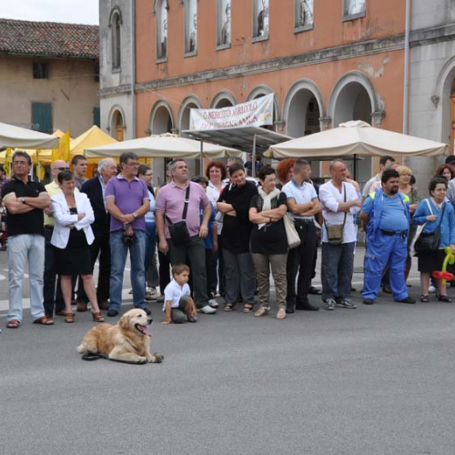 attivit‡ di sensibilizzazione nell'ambito di Pozzuolo Ri-fiorisce" n. 13""ttivit‡ di sensibilizzazion" / 68310