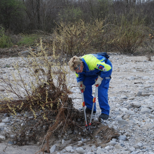 Intervento alveo Torre nelle vicinanze dell'abitato di Salt n. 72 / 78746