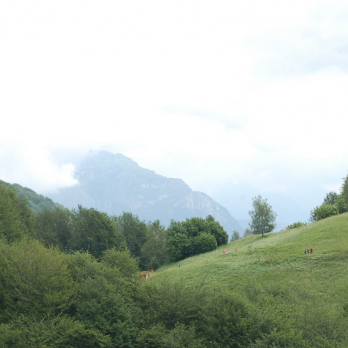 Esercitazione Monte Amariana - Fuoco in Pineit 2012" n. 24""sercitazione "Monte Amariana - Fuoco in Pine""ercitazione "Monte Amariana - ""rcitazione "Monte""citaz" / 82918