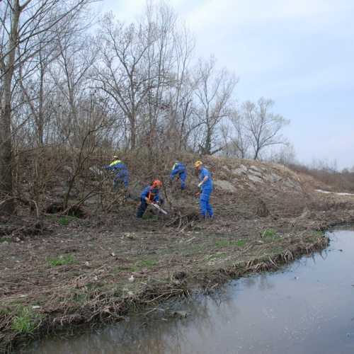 Intervento alveo Torre nelle vicinanze dell'abitato di Salt n. 73 / 78747