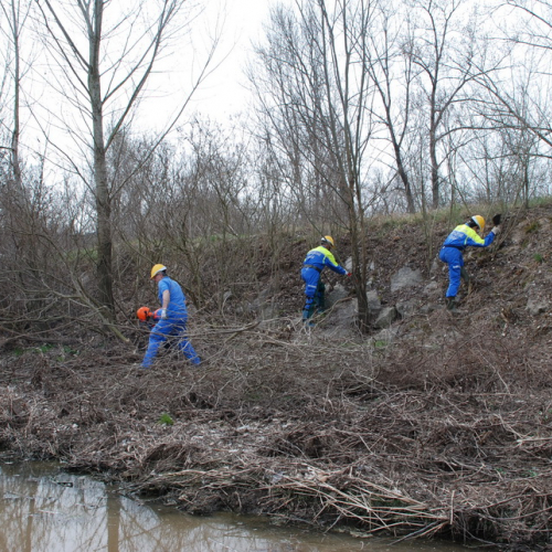 Intervento alveo Torre nelle vicinanze dell'abitato di Salt n. 74 / 78748