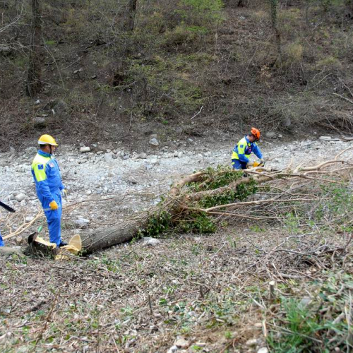 Alvei Puliti 2012 n. 68 / 78269