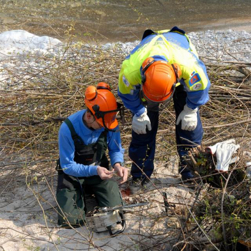 Alvei Puliti 2012 n. 70 / 78271