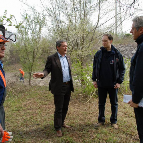 Alvei Puliti 2012 n. 71 / 78272