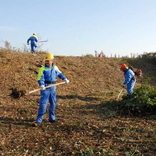 Esercitazione 19/11 n. 40 / 72914
