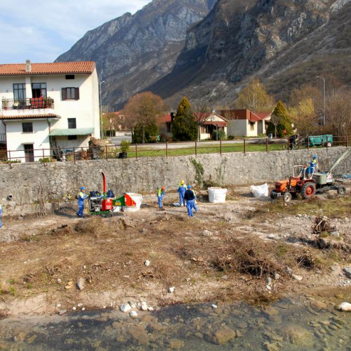 Alvei Puliti 2012 n. 72 / 78273