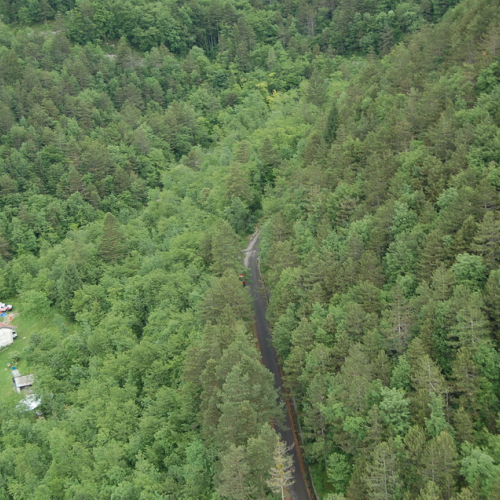 Esercitazione Monte Amariana - Fuoco in Pineit 2012" n. 28""sercitazione "Monte Amariana - Fuoco in Pine""ercitazione "Monte Amariana - ""rcitazione "Monte""citaz" / 82922