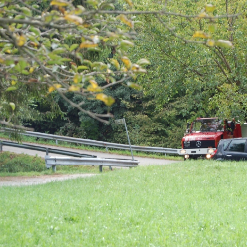 DSC_0275.JPG / 114574