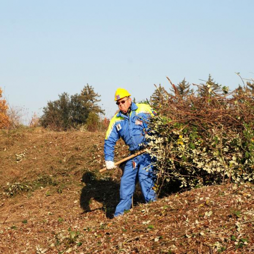 Esercitazione 19/11 n. 41 / 72915