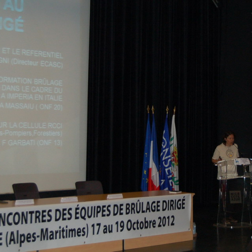 Incontro nell'ambito del Progetto n. 15-2-3-IT ALPF FIRS n. 48 / 87840