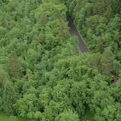 Esercitazione Monte Amariana - Fuoco in Pineit 2012" n. 29""sercitazione "Monte Amariana - Fuoco in Pine""ercitazione "Monte Amariana - ""rcitazione "Monte""citaz" / 82923